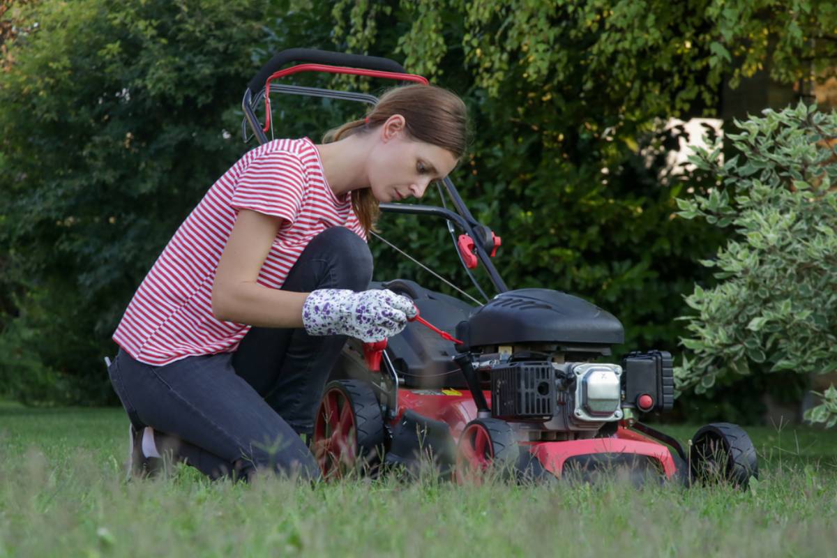 Homeowner Says Her Grass Was Being Fined Under a Law With a Missing Height Limit, Then a Closer Look Revealed the Gardening Rulebook Might Not Be Finished After All