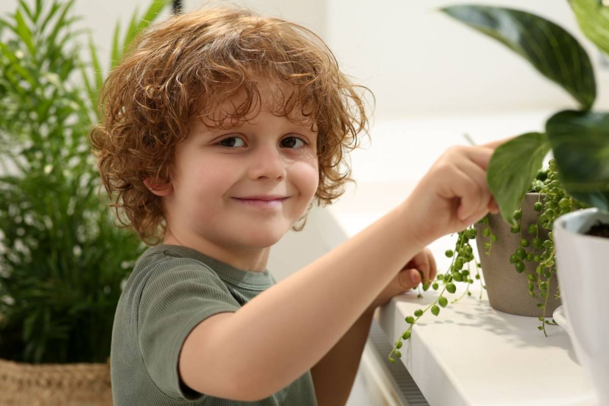 Homeowner Says Her Kids Tried to Save Her Houseplants While She Was on Holiday, Then Their Daily Watering Turned Her Monsteras Into a Full-Blown Plant Rescue Mission