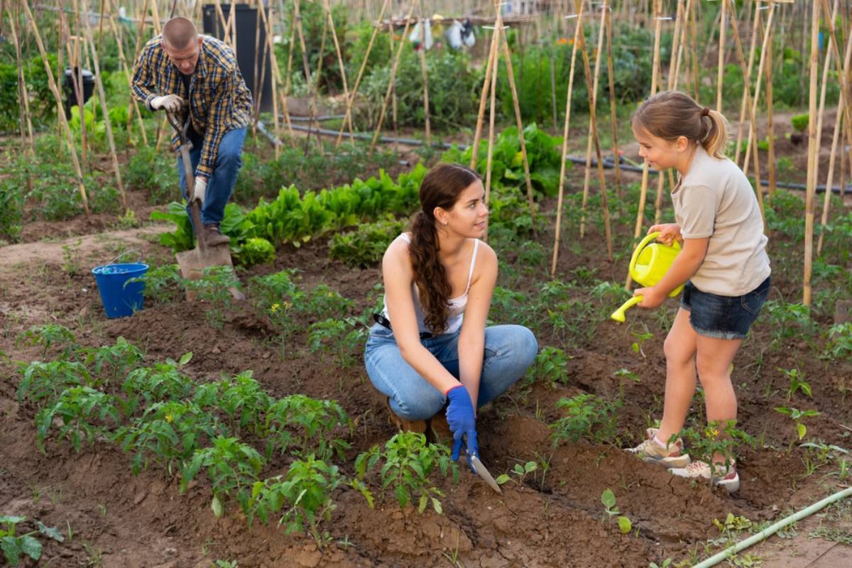 Homeowner Says Her Mother Let the Neighbors Turn Their Backyard Into a Private Vegetable Farm for Five Years, Then Their Trash, Uprooted Plants, and Uninvited Guests Finally Made Her Want to Build a Fence
