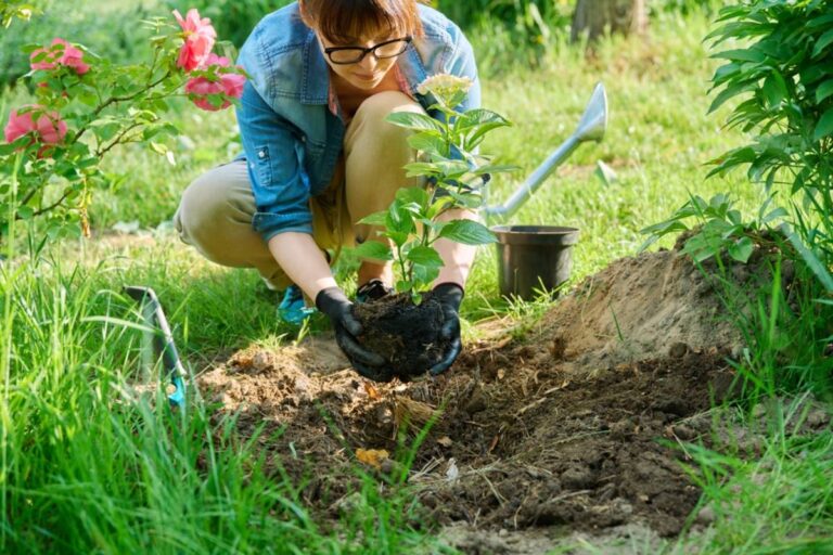 Homeowner Says Her Mother-in-Law Arrived With a Shovel After Her Husband’s Ex Asked for the Flowers Back, Turning a Quiet Garden Into a Family Showdown