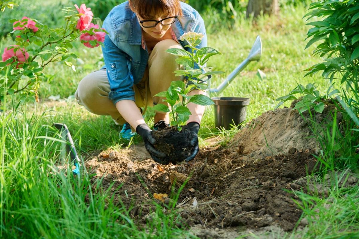 Homeowner Says Her Mother-in-Law Arrived With a Shovel After Her Husband’s Ex Asked for the Flowers Back, Turning a Quiet Garden Into a Family Showdown