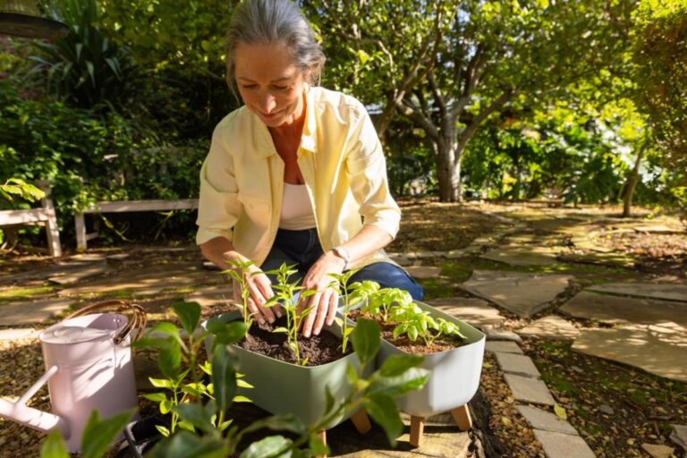 Homeowner Says Her Mother-in-Law Wanted to “Help” With the Garden While She Was at Work, Then She Came Home to Find Two Years of Native Plants Replaced With Black Mulch and Three Plastic Mums