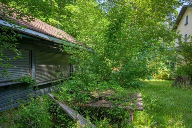 Homeowner Says Her Neighbor Let Her Unleashed Dog Trample the Lawn for Over a Year, Then Her Marriage Fell Apart While Her Own Garden Turned Into a Jungle