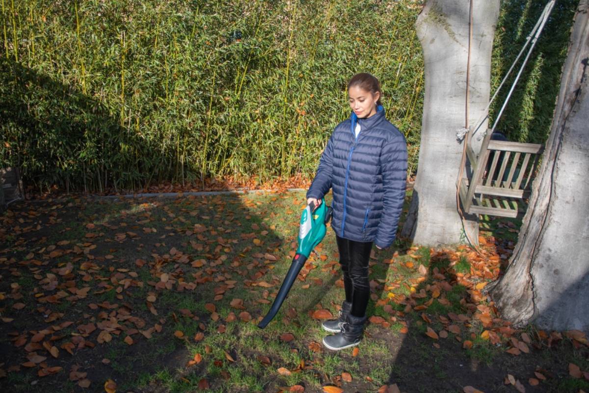Homeowner Says Her Neighbor Runs a Leaf Blower for Hours Every Day, Even When There Are No Leaves Left, Then a Broken Machine Turns Summer Gardening Into a Neighborhood Nightmare