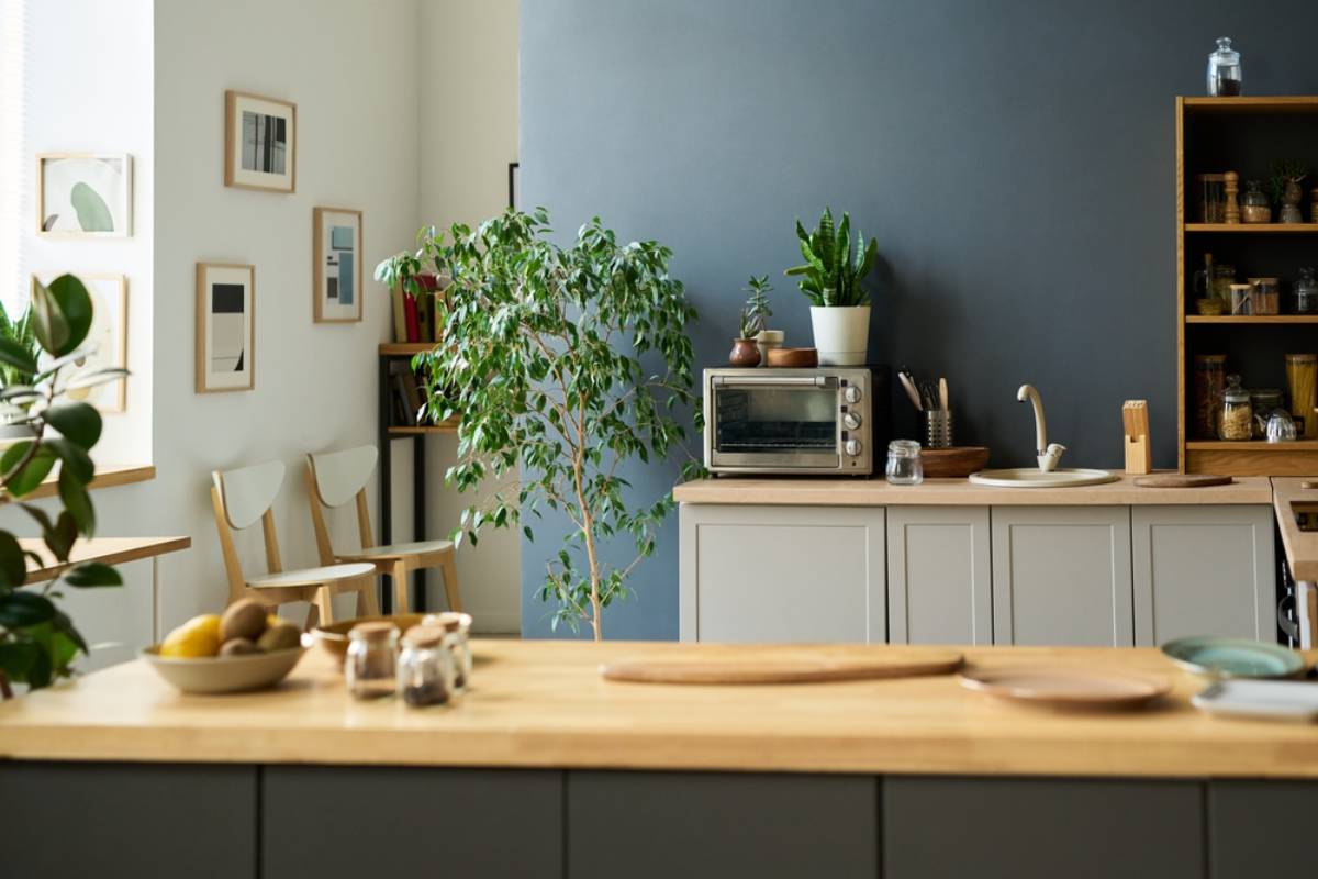 Homeowner Says Her Plant-Loving Roommate Hung a Trailing Houseplant Over Their Kitchen Oven, Then Called Her a “Klutz” After Its Leaves Got Burned During Dinner