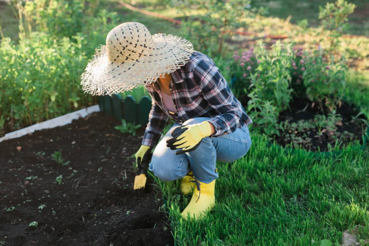 Homeowner Says His Garden-Obsessed Neighbor Tried to Control What Grew in His Yard, Then Started Sending Her Requests Through His Tenant