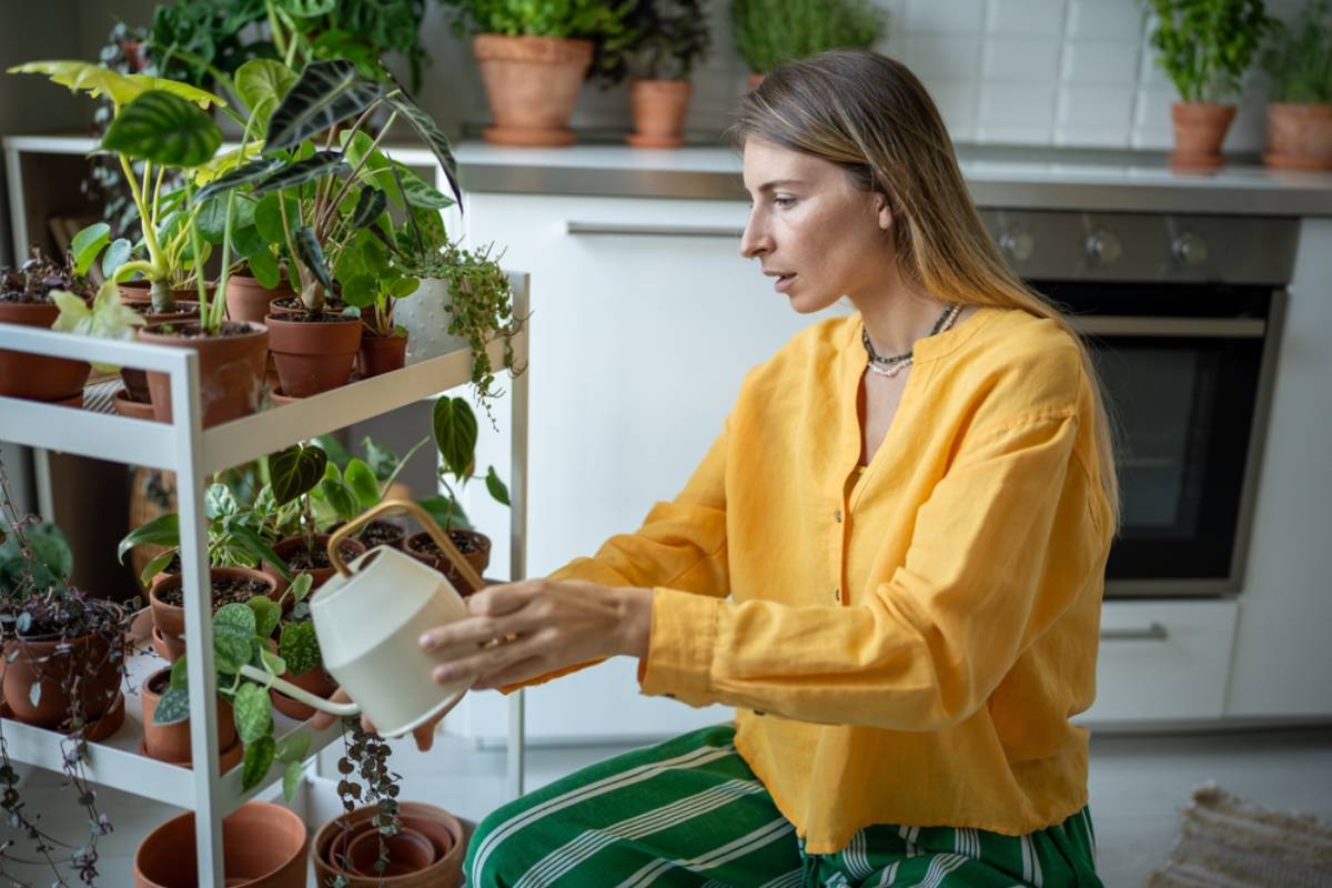 Homeowner Says His Garden Was the Quietest Part of the Property, Until a Family Upstairs Turned Their Backyard Plant Collection Into the Center of a Yearlong Feud