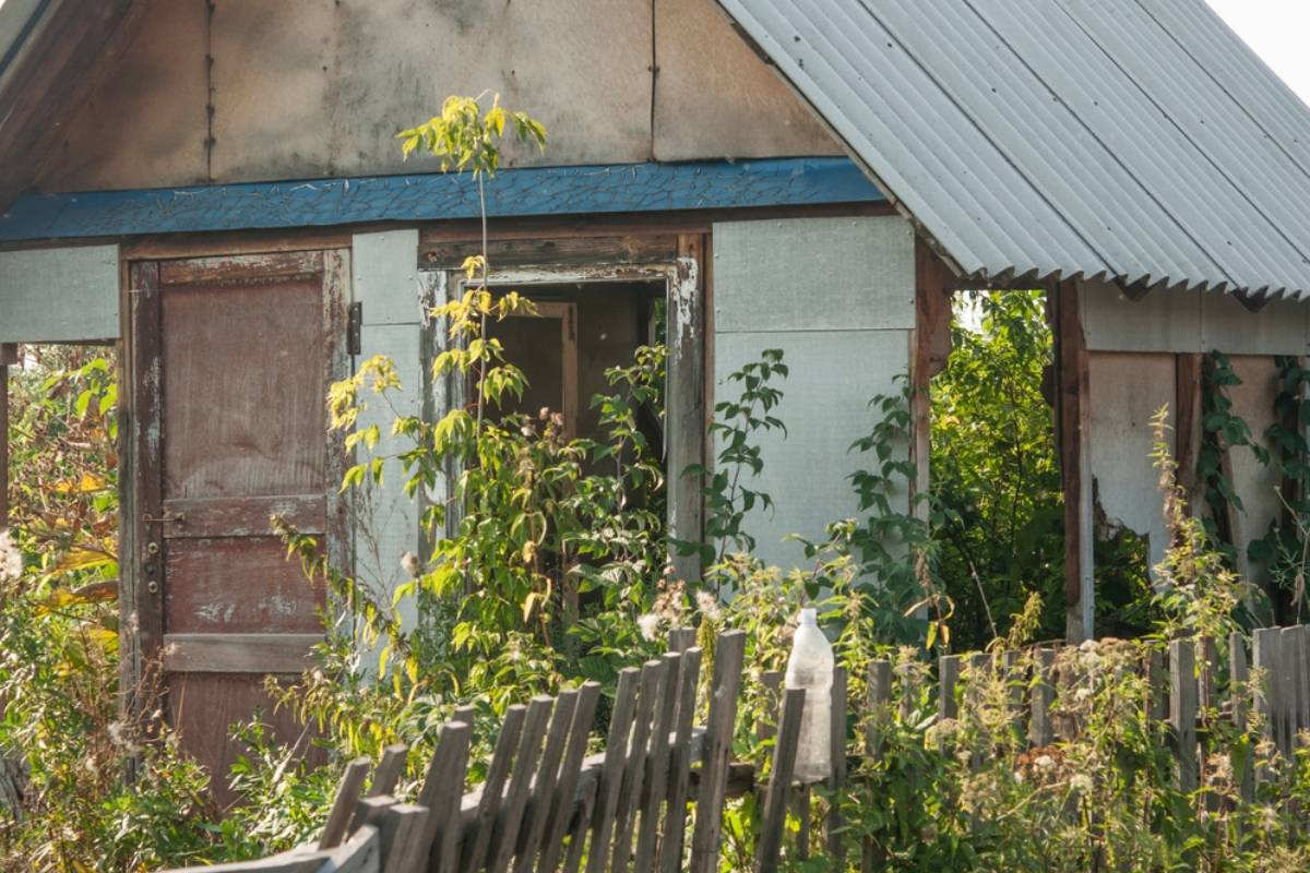 Homeowner Says His Late Uncle’s Overgrown City Garden Became the Target of a Lavish New Fence, Then a Neighbor Discovered Three Feet Could Cost Him Everything