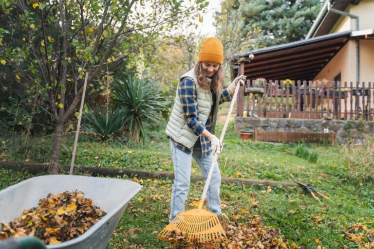 Homeowner Says His Neighbor Kept Blowing Maple Leaves Into His Yard, Then Got Furious When Every Bag Magically Reappeared at His Own Curb