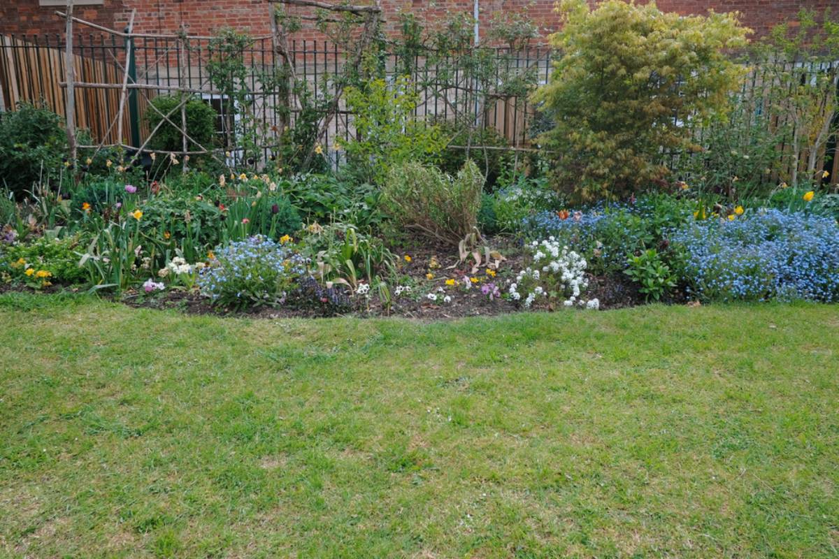 Homeowner Says His Neighbor Left Complaints About Overgrown Flower Beds for Years, Then Cut Down His Garden’s Tree Shoots Without Permission the Day Before the Landscaper Arrived