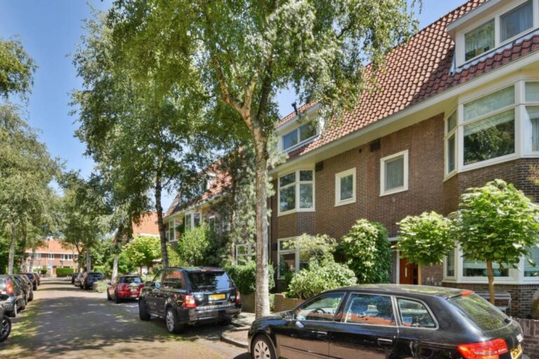 Homeowner Says His Neighbor’s Dying Tree Took Over the Garage, Then Discovered Everyone Had a Different Idea About Who Should Trim It