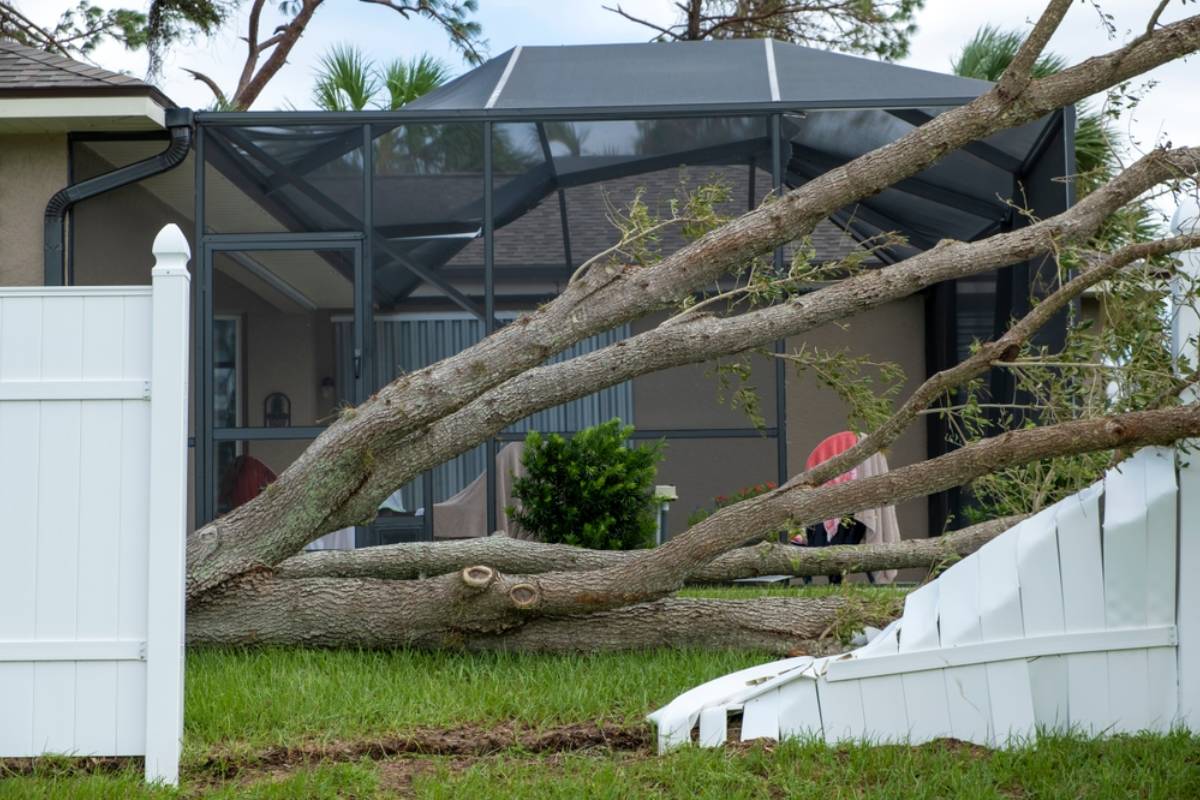 Homeowner Says Neighbors Started Cutting a Tree Near the Garden, Then Left a Massive Trunk Crushed Across the Fence