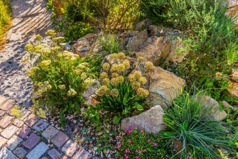 Homeowner Says She Began Turning Her Huge New Yard Into a Pollinator Garden, Then the City Sent Her a Hefty Fine for Letting the Flowers Grow