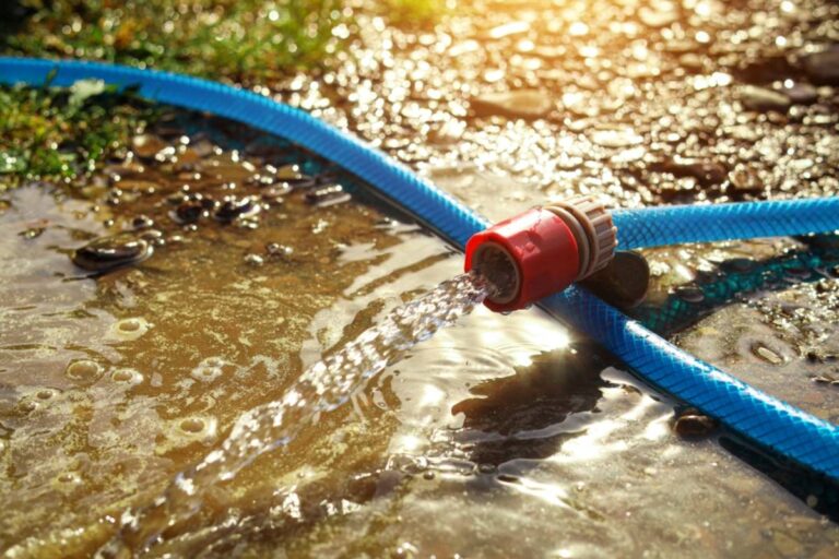 Homeowner Says She Watered Her Garden and Left a Hose Running in the Backyard, Then Returned Hours Later to Find Her Fish Pond Overflowing and Her Garden Underwater