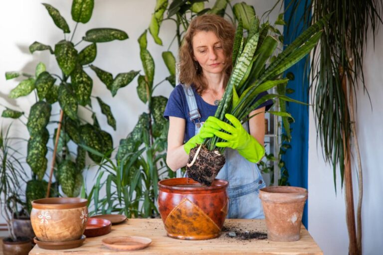 Homeowner Says Someone Stole the Fake Plant Pot Hiding Her Emergency Key Outside Her Apartment, Then Realized the Theft Was Far More Infuriating Than Anyone Expected
