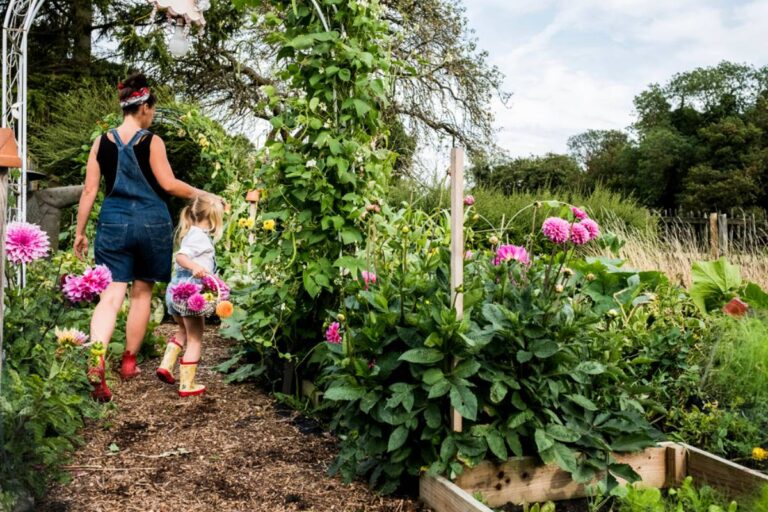Homeowner Says a Child and His Mother Crossed a Line in His Garden, Then One Unexpected Confrontation Turned a Quiet Outdoor Space Into a Family Dispute