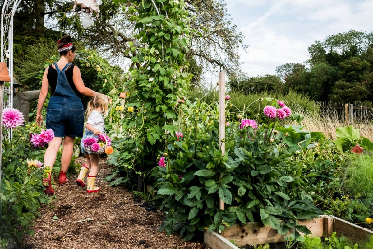 Homeowner Says a Child and His Mother Crossed a Line in His Garden, Then One Unexpected Confrontation Turned a Quiet Outdoor Space Into a Family Dispute