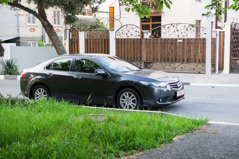 Homeowner Says a Frequent Visitor Kept Parking Beside His Native Garden, Then the Neighbors Had Very Different Ideas About Who Was Actually Being Rude