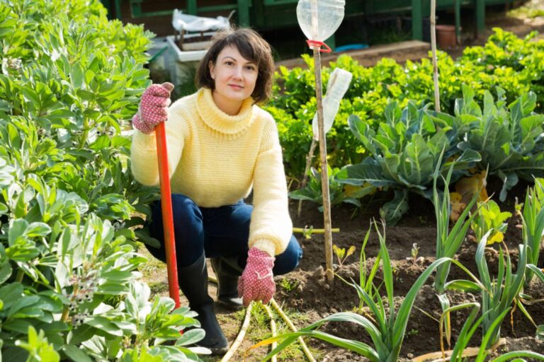 Homeowner Says a Neighbor Complained About Her “Unnecessary” Vegetable Garden, Then Started Targeting Everything From Succulent Pots to a Covered Compost Bin