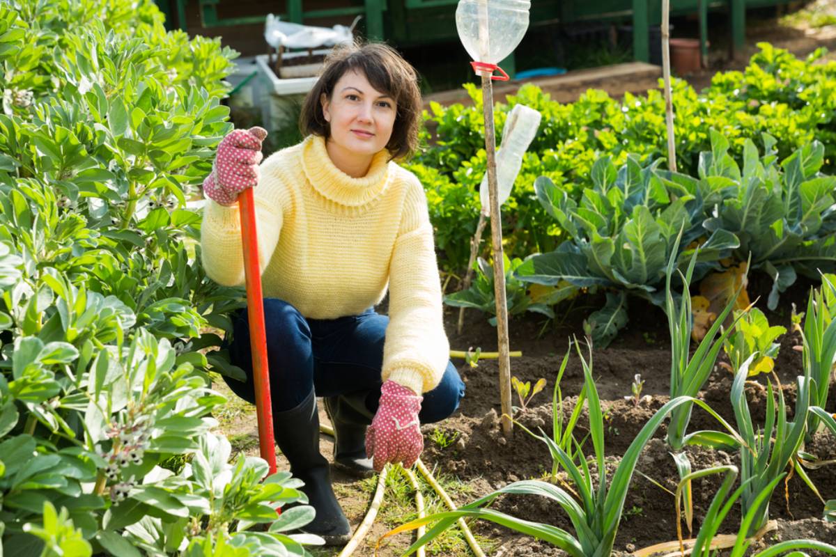 Homeowner Says a Neighbor Complained About Her “Unnecessary” Vegetable Garden, Then Started Targeting Everything From Succulent Pots to a Covered Compost Bin