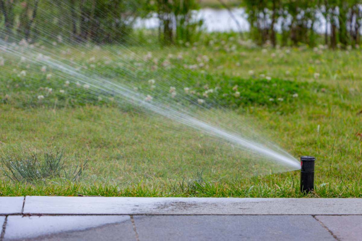 Homeowner Says a Neighbor Installed a Motion-Activated Sprinkler to Protect His Lawn, Then Discovered It Was Soaking the Other Yard Too