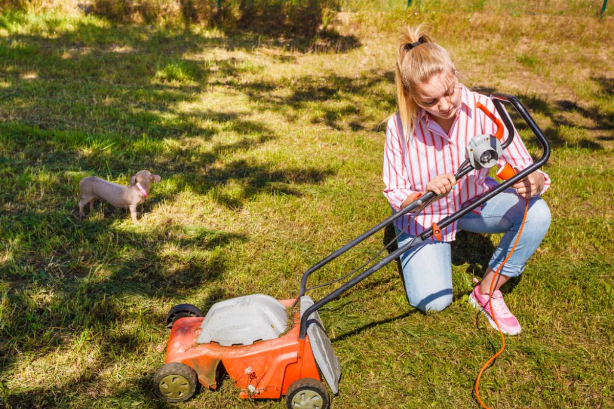 Homeowner Says a Neighbor Quietly Mowed the One Part of Their Yard They Deliberately Let Grow Tall, Then the Reason Behind the Unwanted Lawn Makeover Started a Bigger Neighborhood Argument