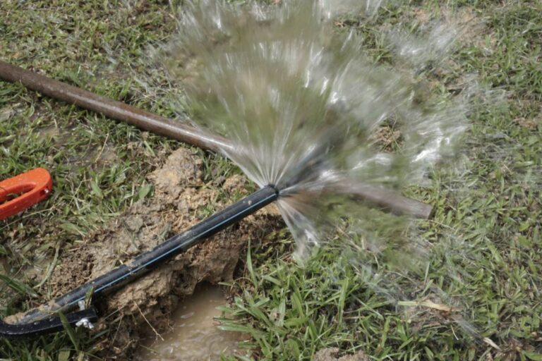 Homeowner Says a Neighbor Spent Five Years Complaining About Her Garden, Then Accused Her of Causing a Mysterious Leak Without Ever Warning Her