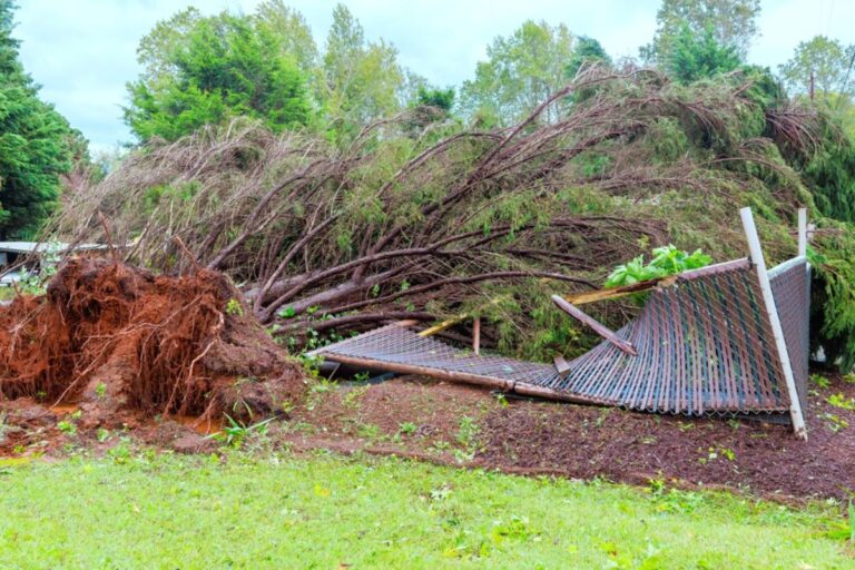 Homeowner Says a Neighbor’s Giant Tree Crushed 18 Feet of His Garden Fence, Then Five Months of Apologies Left Him Spending His Own Money to Keep His Dog Safe