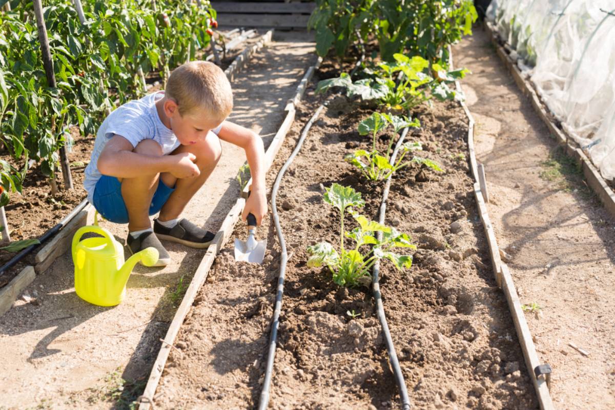 Homeowner Says a Neighbor’s Young Son Kept Wandering Into Her Garden and Pulling Apart Her Lavender, Until Security Footage Revealed What Was Really Happening