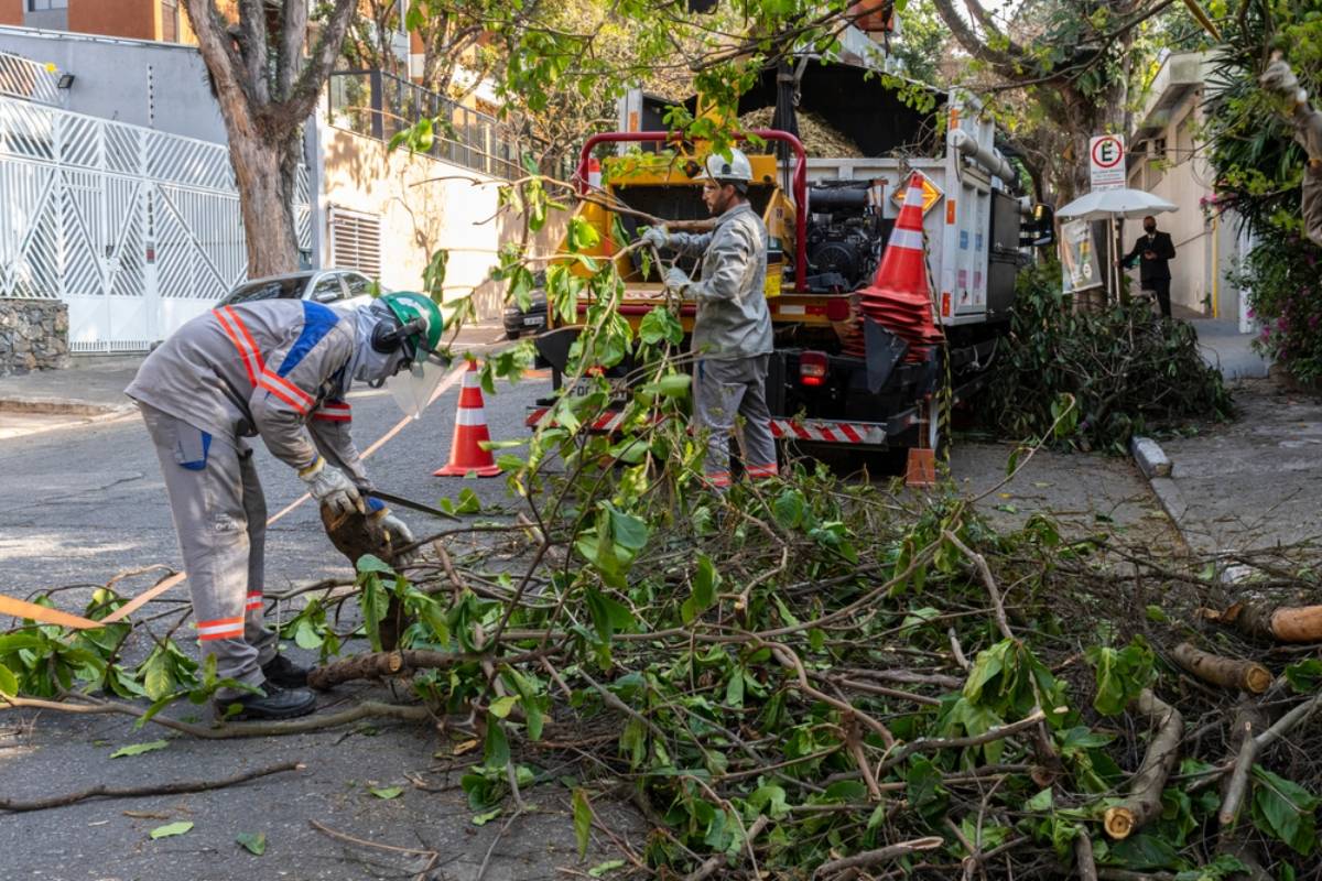 Homeowner Says a Tree Company Added a $500 “Police Detail” Charge After No Officer Showed Up, Then the Traffic-Control Twist Sparked a Heated Debate