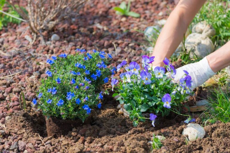 Homeowner Says the HOA Demanded Approval for Planting Flowers, Mowing Grass, and Pulling Weeds, Then Neighbors Suggested a Petty Gardening Plan That Could Bury the Board in Paperwork