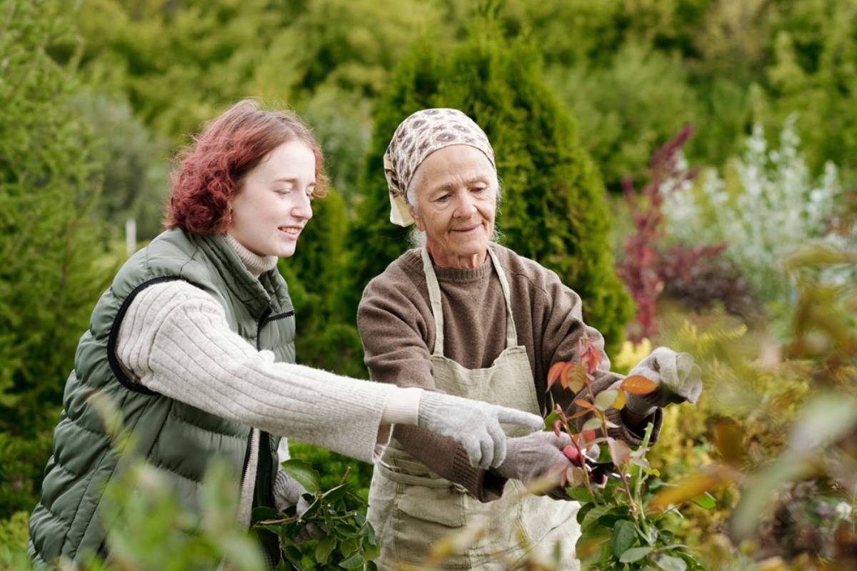 Homeowner Spent Years Helping an Elderly Neighbor Maintain Her Beautiful Yard, Then the New Owner Demanded Free Snow Removal and Threatened to Sue When He Refused