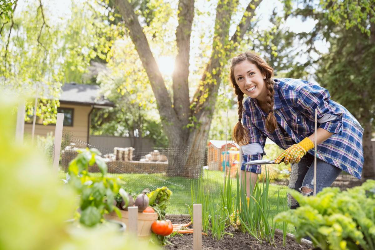 Homeowner Starts a Vegetable Garden After Buying a Quiet Cottage, Then a Neighbor’s Chaos Turns Her New Fence Into the Biggest Garden Upgrade on the Street