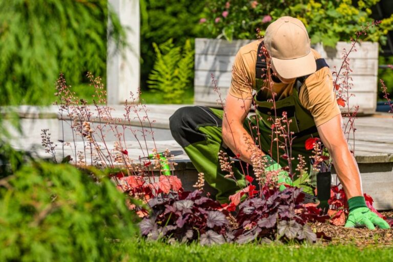 Homeowners Say Their Landlord Visits Almost Every Day to Tend Her Flower Beds, Then Realize Their Beautiful Yard Comes With an Unexpected Price