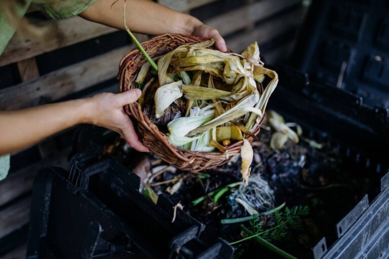 Patio Gardener Says His Homemade Compost Reached 100 Degrees but Still Smelled Awful, Then Experienced Gardeners Revealed the One Thing He Might Be Missing