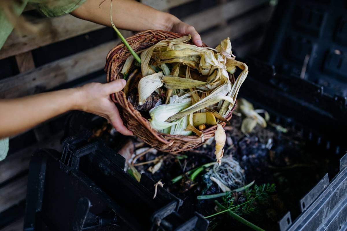Patio Gardener Says His Homemade Compost Reached 100 Degrees but Still Smelled Awful, Then Experienced Gardeners Revealed the One Thing He Might Be Missing
