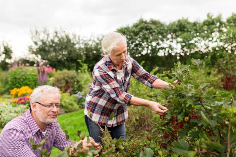 Retired Couple Thought Their New Garden Had Finally Found Peace, Until a Neighbor Ordered Their Gardener to Cut Down Half Their Avocado Tree