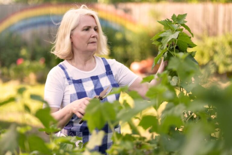 She Kept Catching Her Elderly Neighbor Sneaking Into the Garden With Scissors, Until Six Years of Camera Footage Revealed Just How Often It Happened