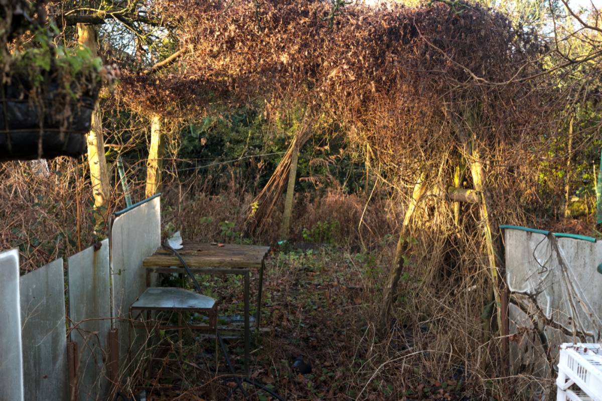 Tenants Say They Rented a Home Expecting a Garden to Enjoy, Then Discovered the Outdoor Space Was Too Unsafe to Use and Started Wondering Whether Their Rent Should Come Down
