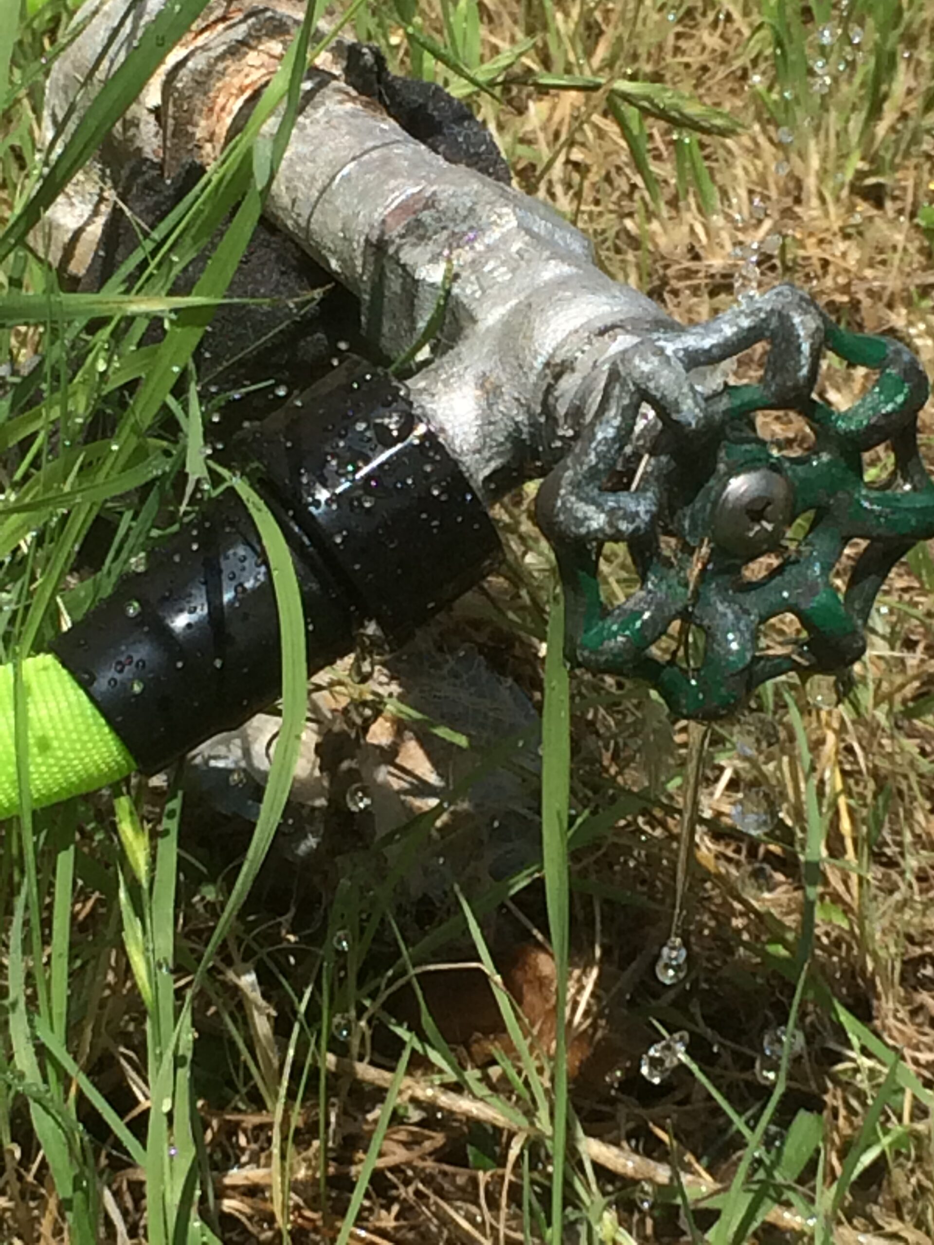 A garden hose sprinkler watering a residential lawn