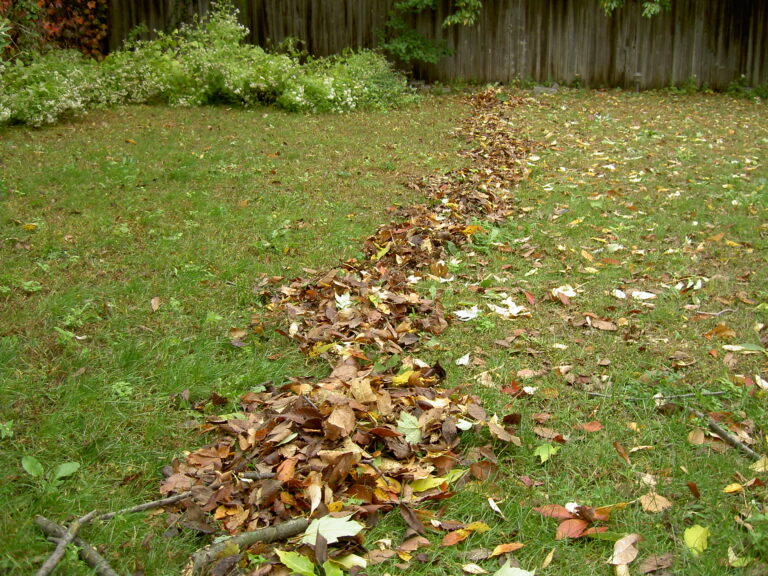 Fallen autumn leaves gathered into a pile in a garden