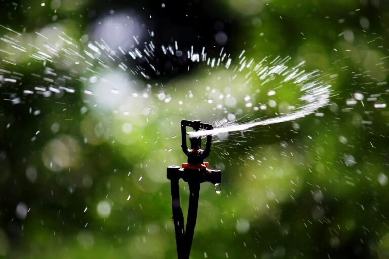 A lawn sprinkler head spraying water over green grass