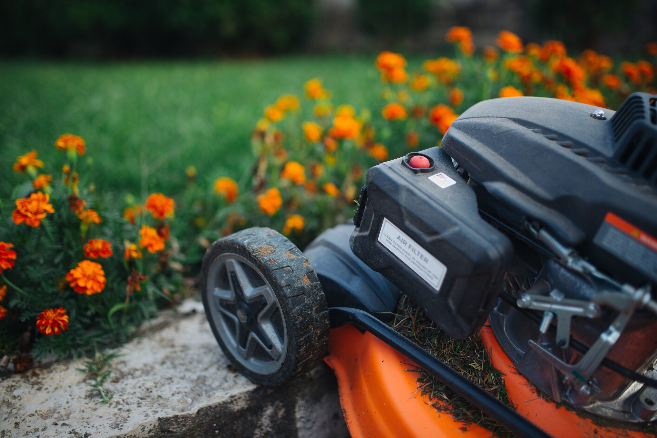 Close-up of a gas lawn mower sitting on green grass with flowers behind it