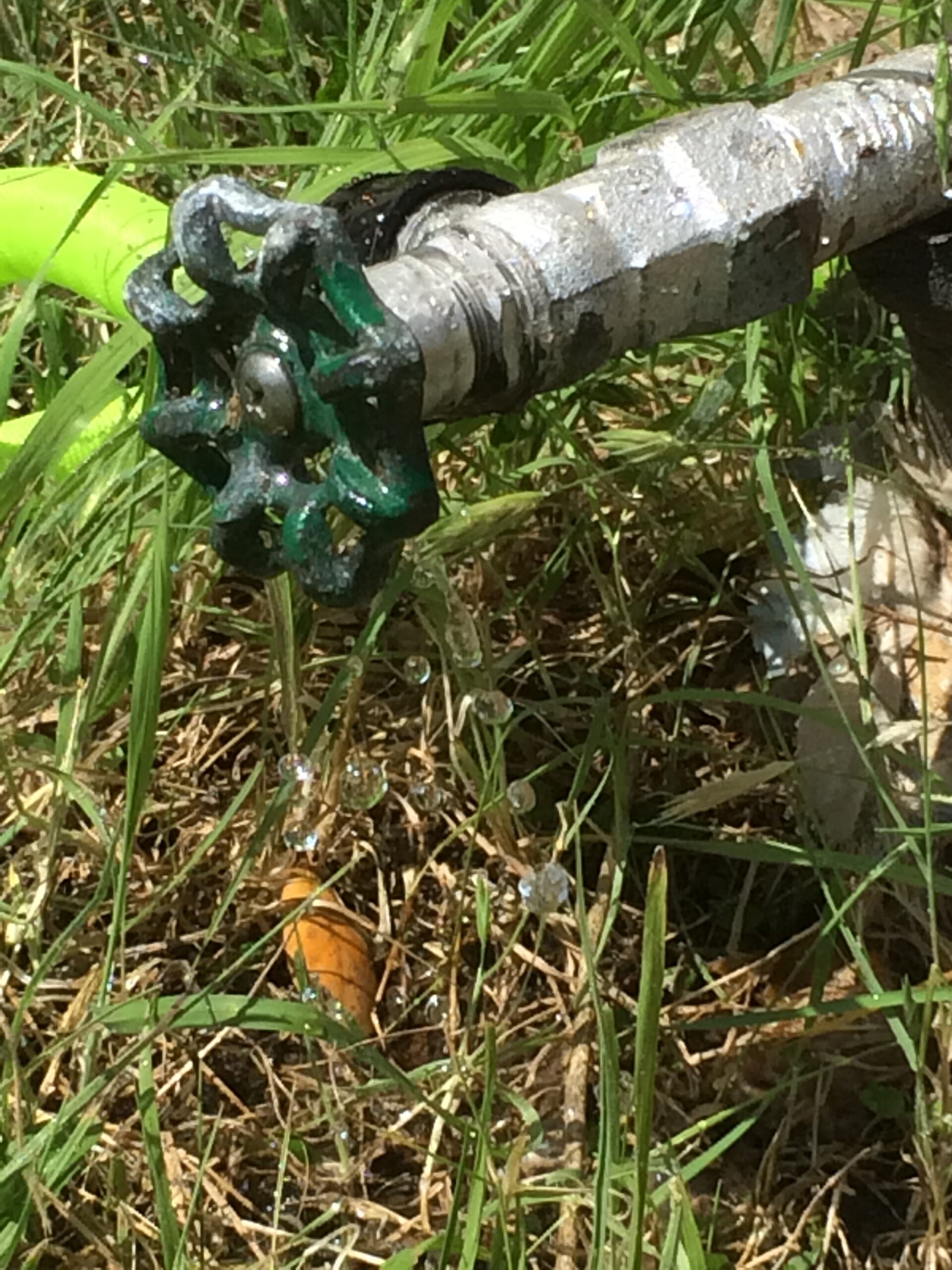 A hose-end sprinkler sitting on a residential lawn