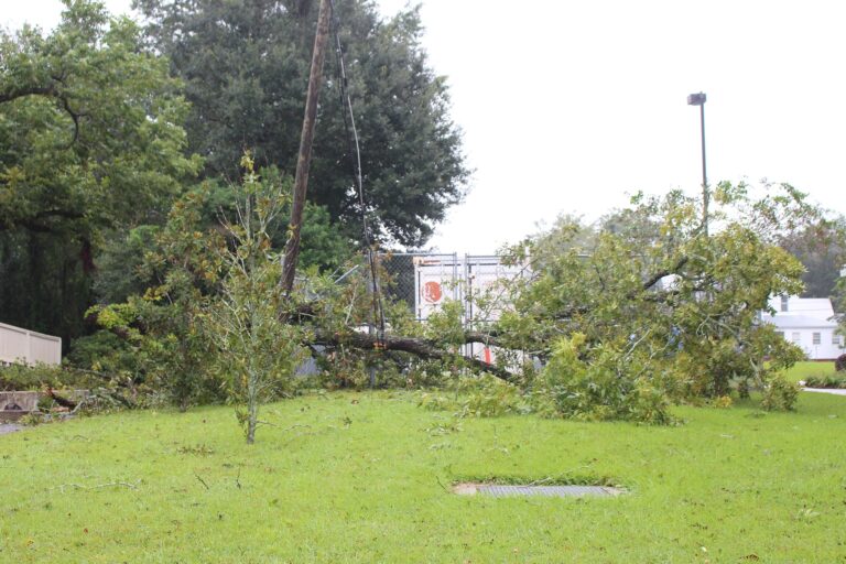A large tree uprooted beside a home after a hurricane, the kind of yard cleanup that tree-removal crews handle