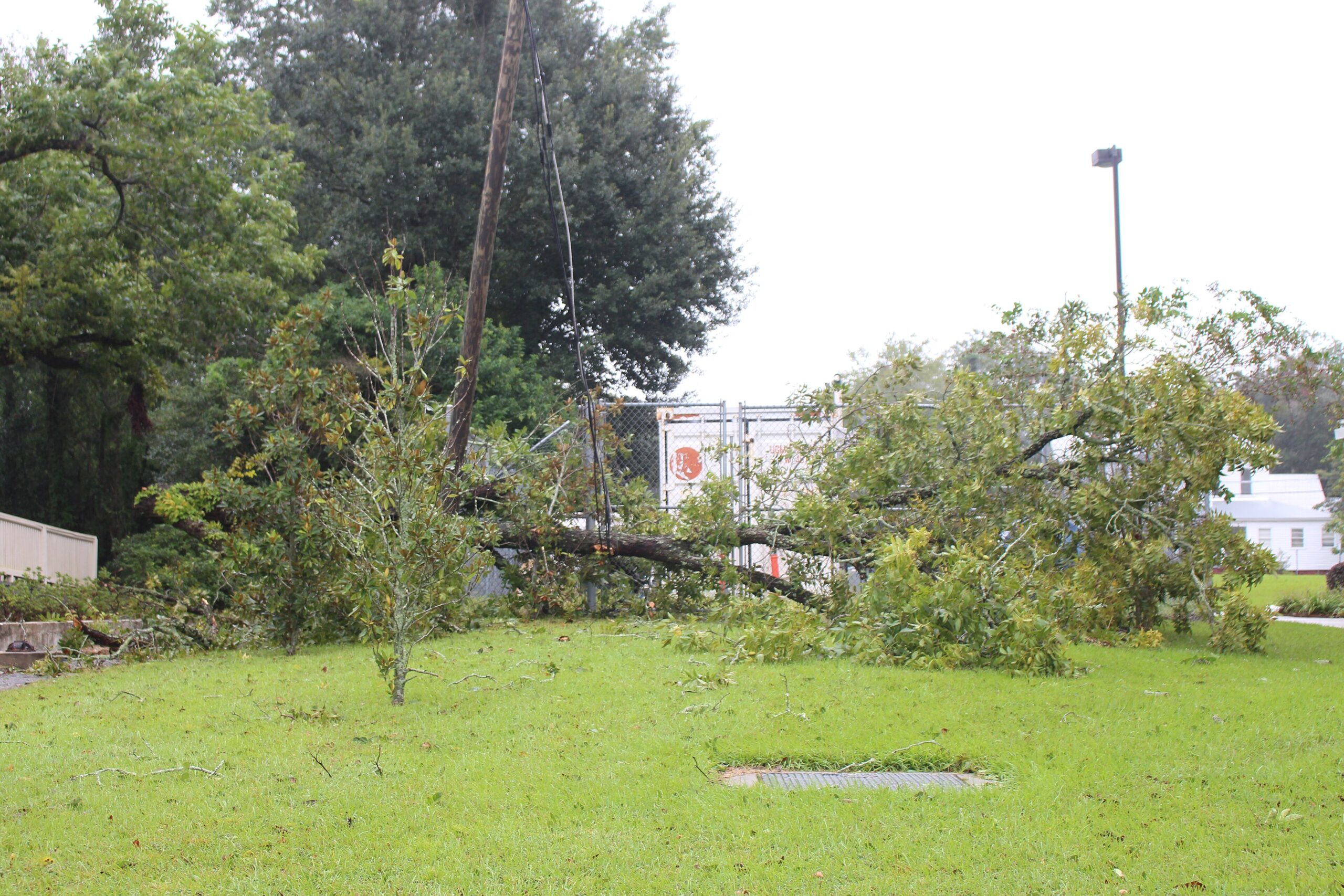 A large tree uprooted beside a home after a hurricane, the kind of yard cleanup that tree-removal crews handle