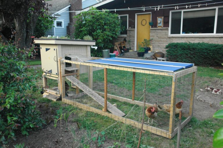 A small wooden backyard chicken coop with a planted green roof