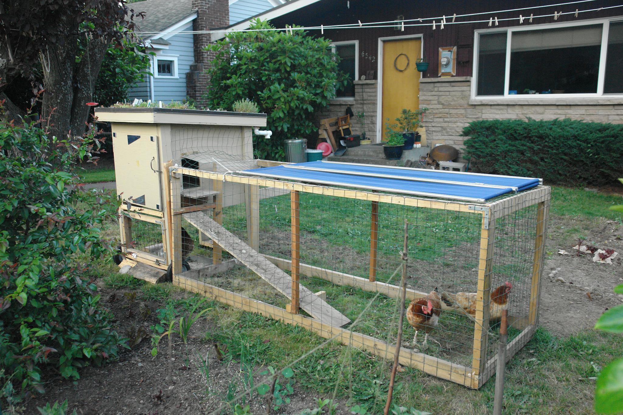 A small wooden backyard chicken coop with a planted green roof