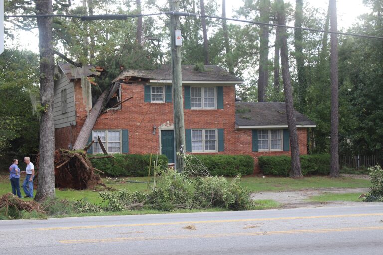 A large tree lying across the roof of a house after an earlier hurricane in Valdosta, Georgia