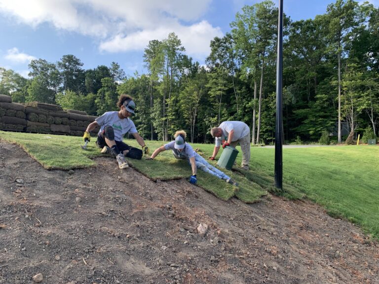 Rolls of fresh sod being laid on a residential lawn